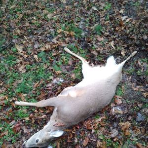 Meet your Posher, Jacob